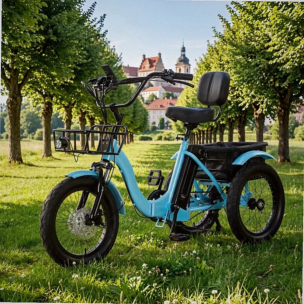 18 Zoll Alu-Klappbares 48V E-Bike 85% Vormontiert für Senioren 150kg Outdoor FWD
