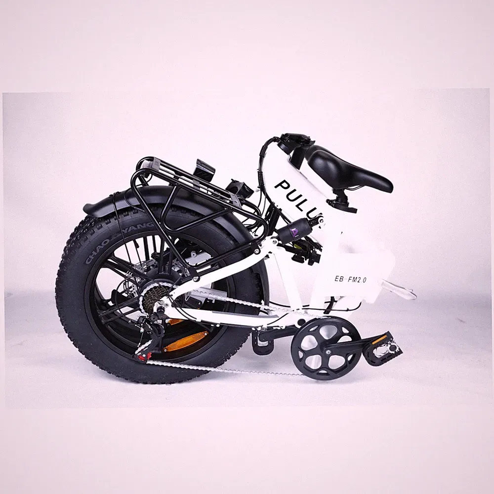20'' Fat Tire E-CityBike 750W Klapprad Elektrofahrrad Pedelec 7-Gänge 48V 15AH