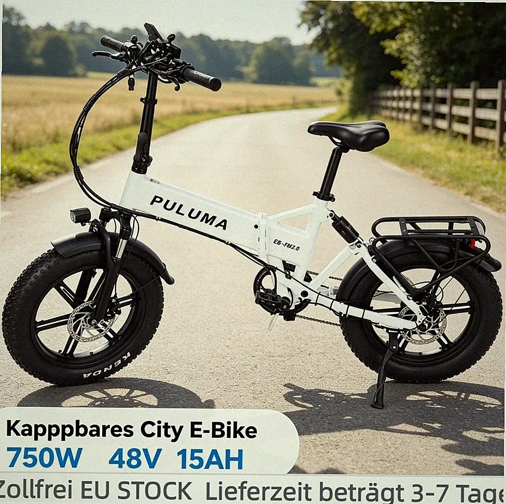 20''Fat Tire Elektrofahrrad 750W Klapprad City E-Bike 48V15AH 7-Gänge Pedelec EU
