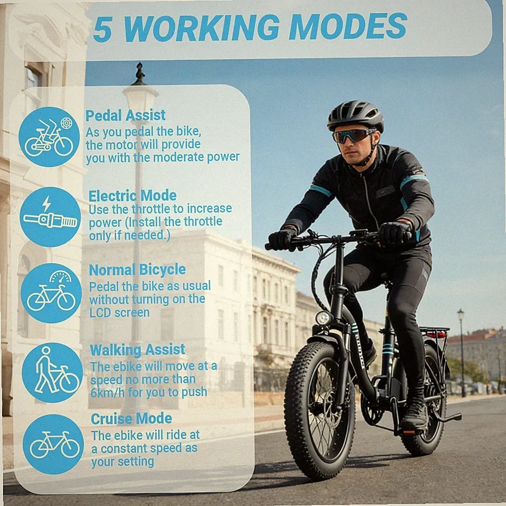 20 Zoll City E-Bike,Klapprad Elektrofahrrad,250W 10.4AH Pedelec 25KM/H EBYCCO S1