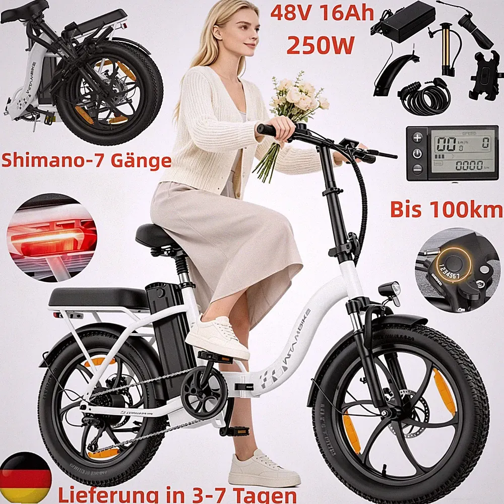 20 Zoll E-Bike Klapprad Elektrofahrrad 250W 48V 16Ah Pedelec Cityrad Bis 100km