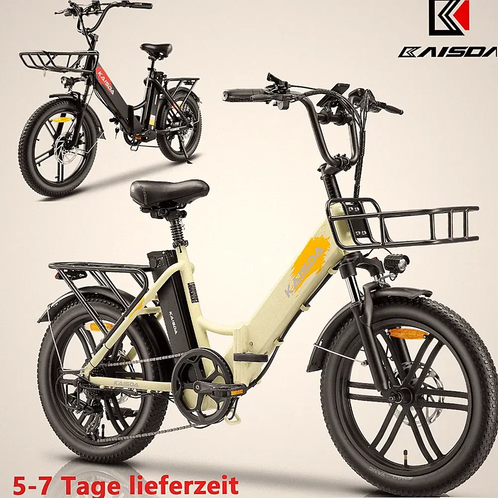 20 Zoll E-Bike Klapprad Elektrofahrrad Electric-Bike Citybike 20.8Ah Doppelakku