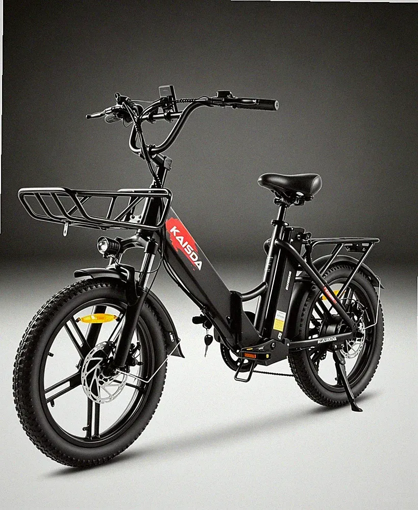 20 Zoll E-Bike Klapprad Elektrofahrrad Electric Bike Fatbike 20.8Ah Doppelbatter