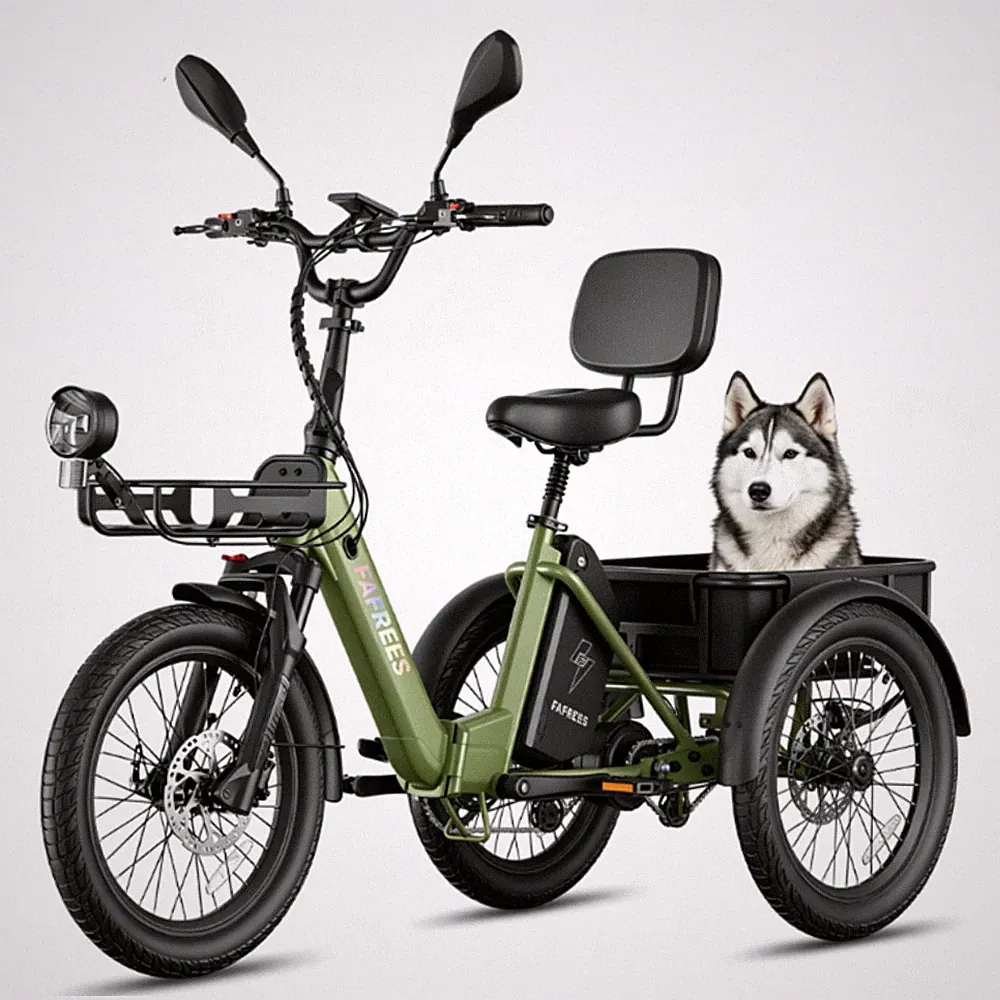 20 Zoll Elektro Dreirad 250W 48V21AH FAFREES F20 MATE II Klapprad 3 Räder E-Bike