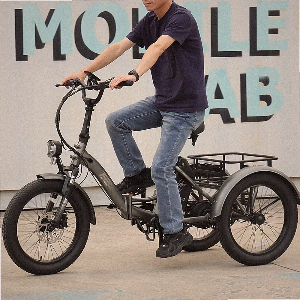 20 Zoll Elektro Dreirad 3-Rad E-Bike mit Korb Klappbar ebike 250W 48V FAFREES