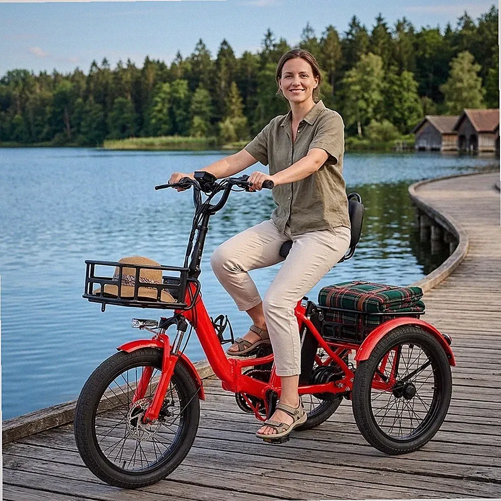 20 Zoll Elektro Dreirad Fatbike Faltbar mit großen Körben Komfort E-Bike 85%-Pre