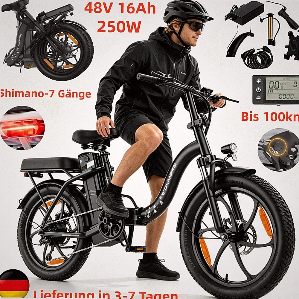 20 Zoll Elektrofahrrad 250W Klapprad City E-Bike Damen Herren 48V 16Ah Pedelec