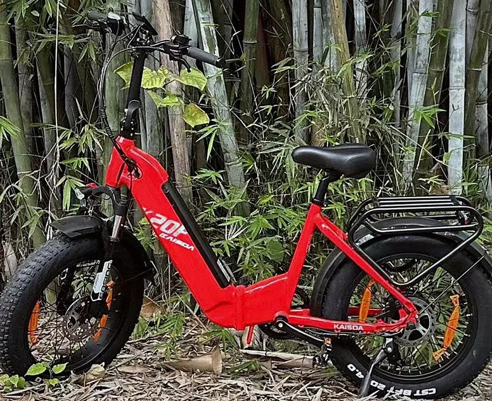 Gepäckträger Citybike