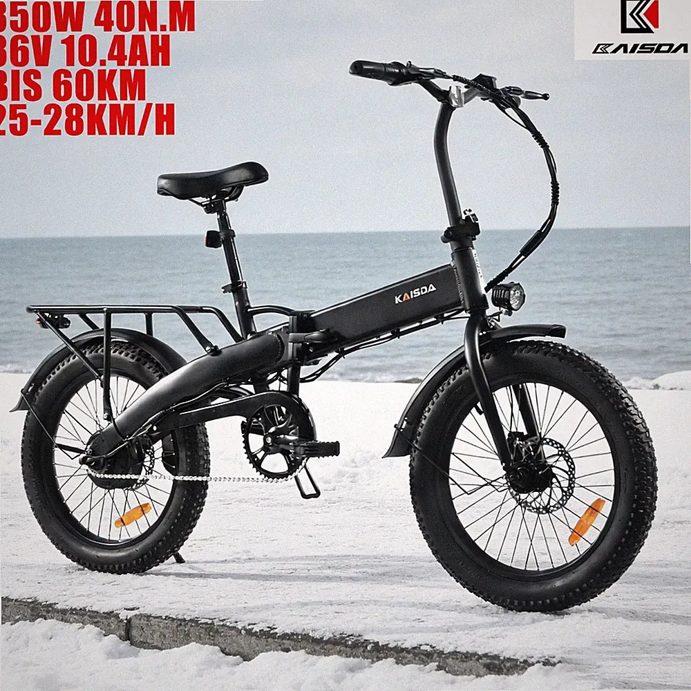 20 Zoll Elektrofahrrad Klapprad E-Bike 250W Faltrad Pedelec 36V 10.4Ah City Bike