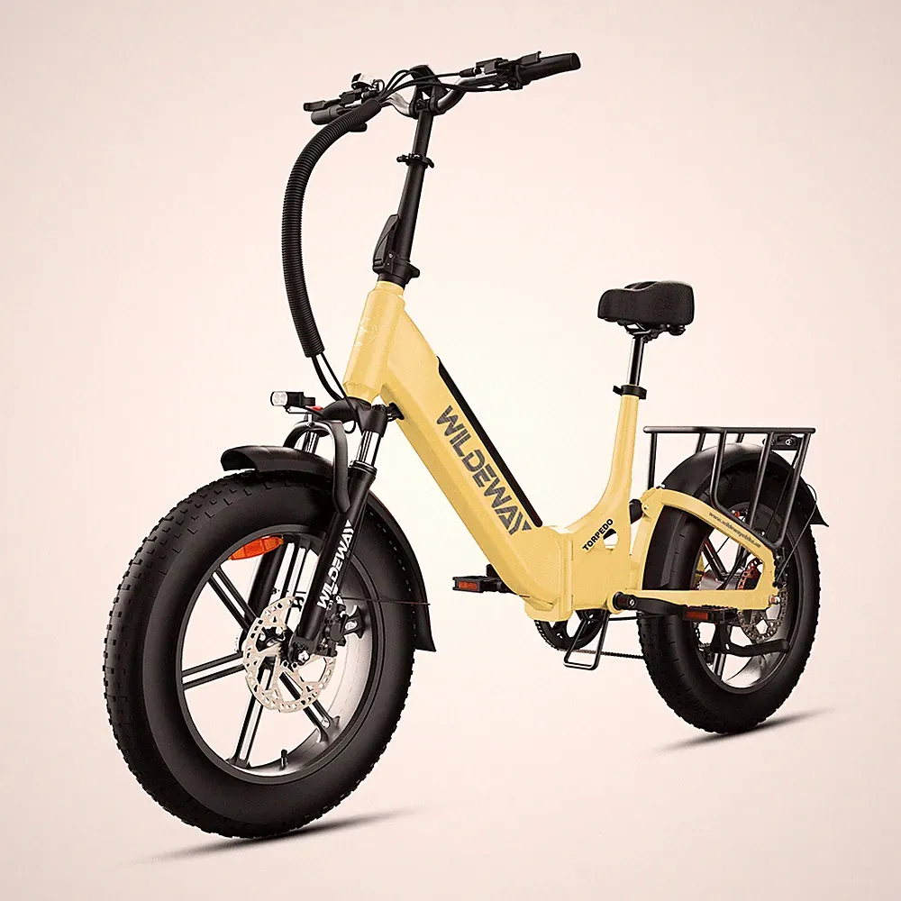 20 Zoll Elektrofahrrad Pedelec Cityräder 5OOW 48V 15Ah E Bike Klapprad MTB