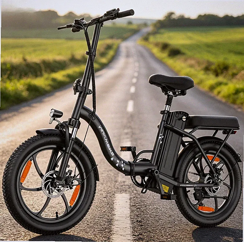 20 Zoll Klappbar E-Bike WITAMBIKE C16 Elektrofahrrad 48V 16AH E-Citybike 100KM