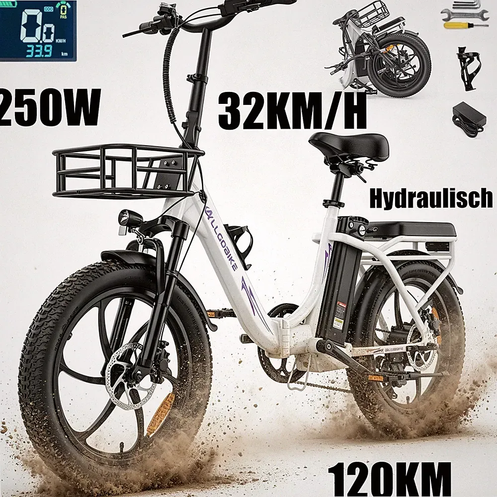 20 Zoll Klapprad e Bike Elektrofahrrad 250W Pedelec Faltrad Tiefeinsteiger Damen