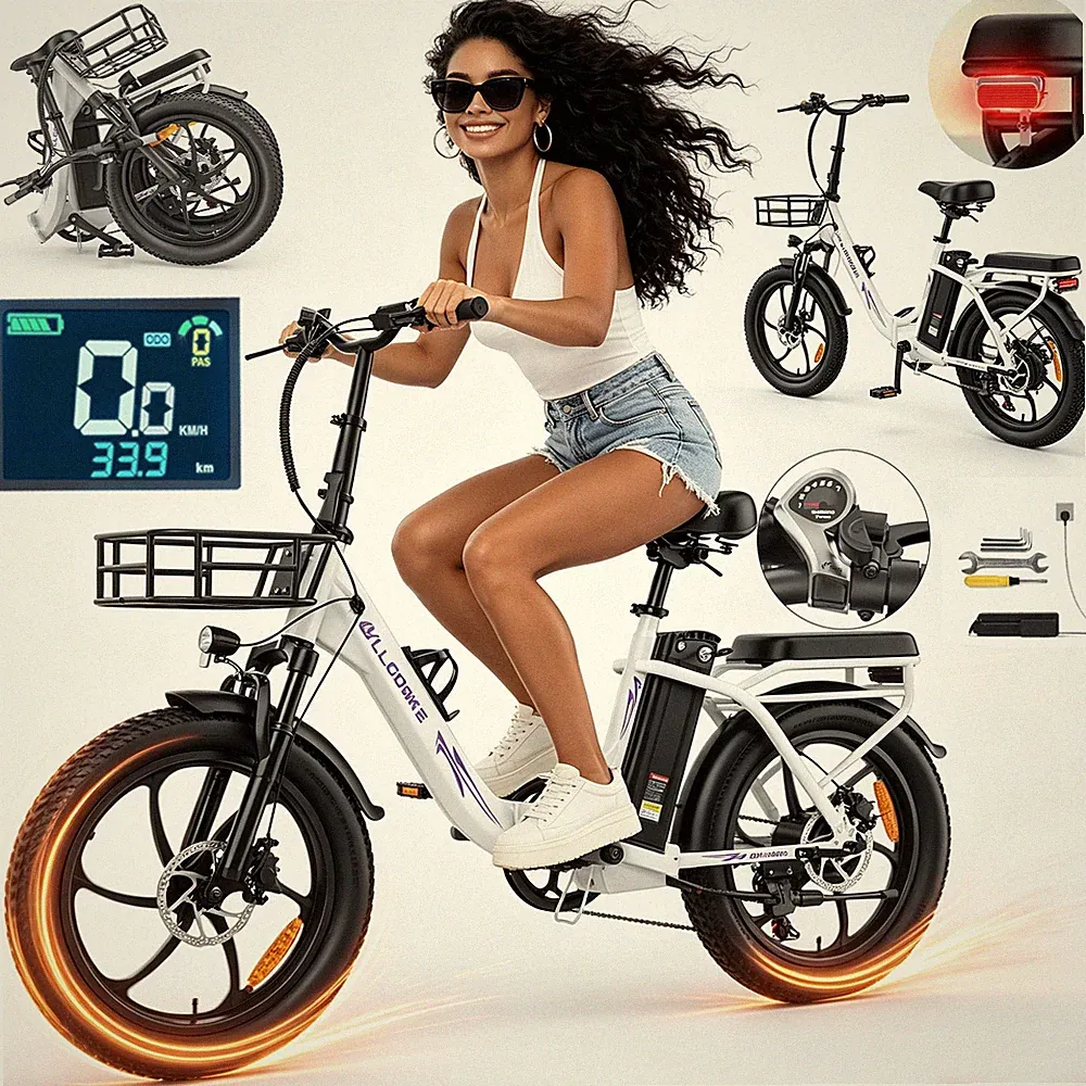20 Zoll Klapprad Elektrofahrrad 48V20AH 250W 32km/h Damen City E-Bike Bis 120km