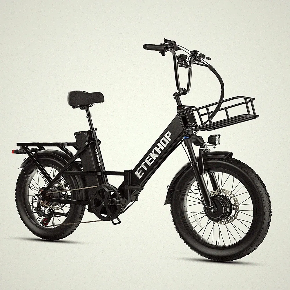 20 Zoll Mountainbike E-Bike Klapprad Elektrofahrrad 2000W DualMotor Pedelec 42Ah