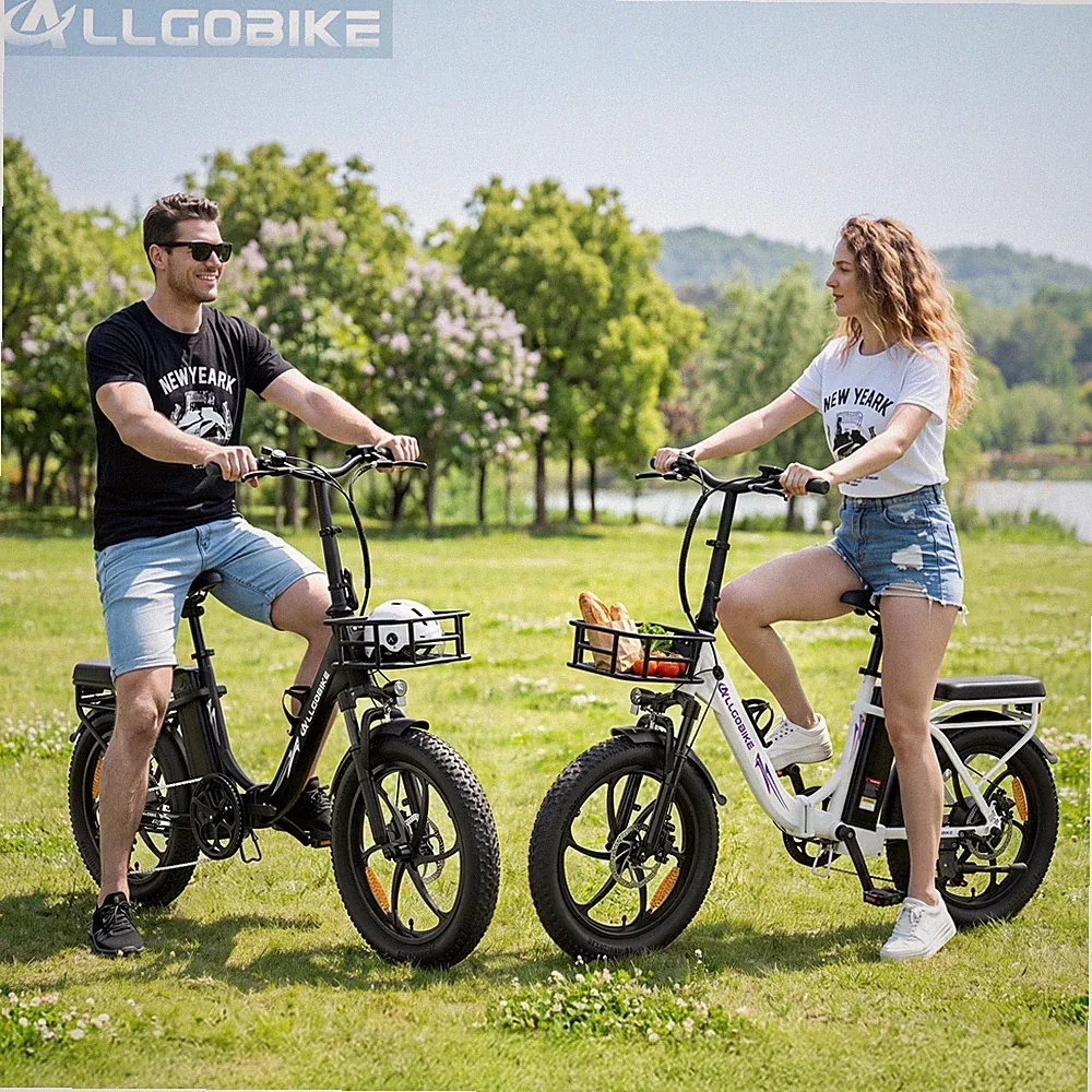20Zoll E-City bike 48V 20Ah Elektrofahrrad 50NM Klappbar Fatbike E-bike 25km/h