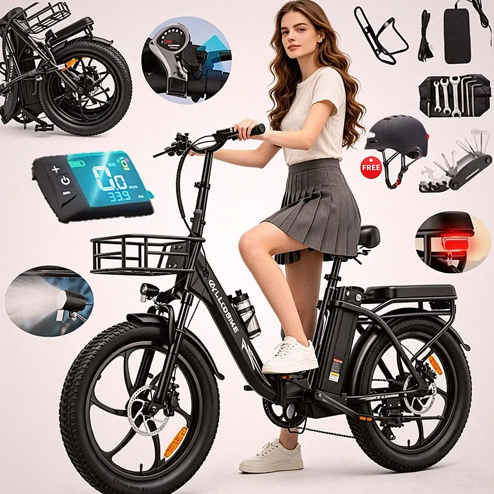 20Zoll Klapprad Elektrofahrrad 250W Pedelec E-Bike 48V20AH E-City Bike 32KM/H EU