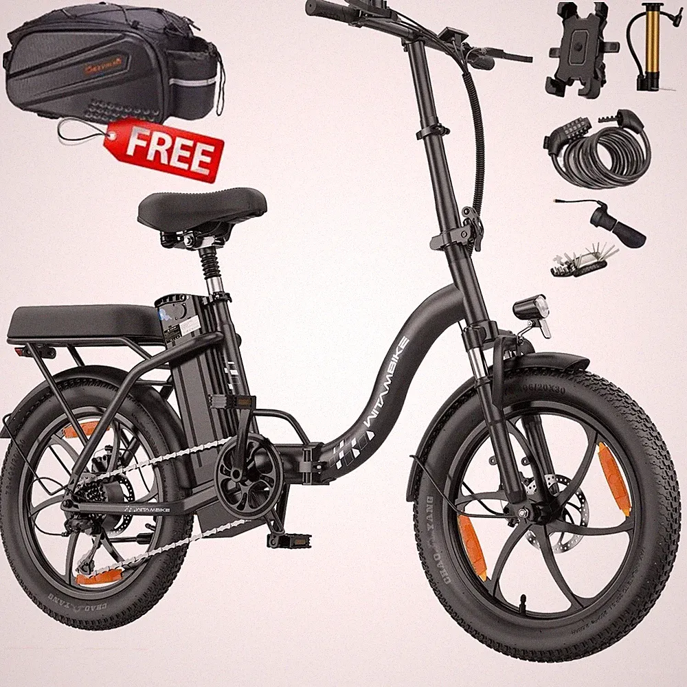 250W WITAMBIKE C16 48V 16Ah coummuter ebike Elektrofahrrad Klapprad City E-Bike