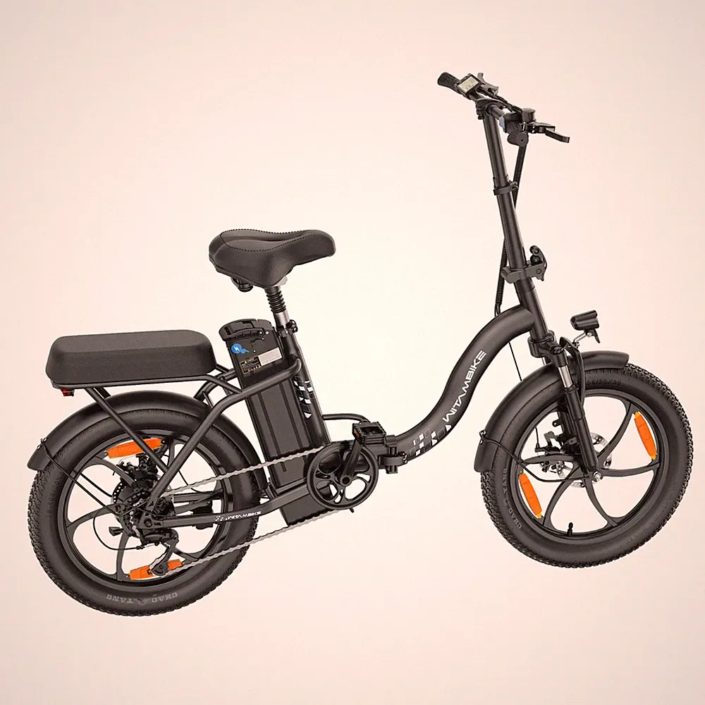 48V 16AH 250W E-bike 20ZOLL Elektrofahrrad Klappbar E-Moutain Bike Pedelec 120KM