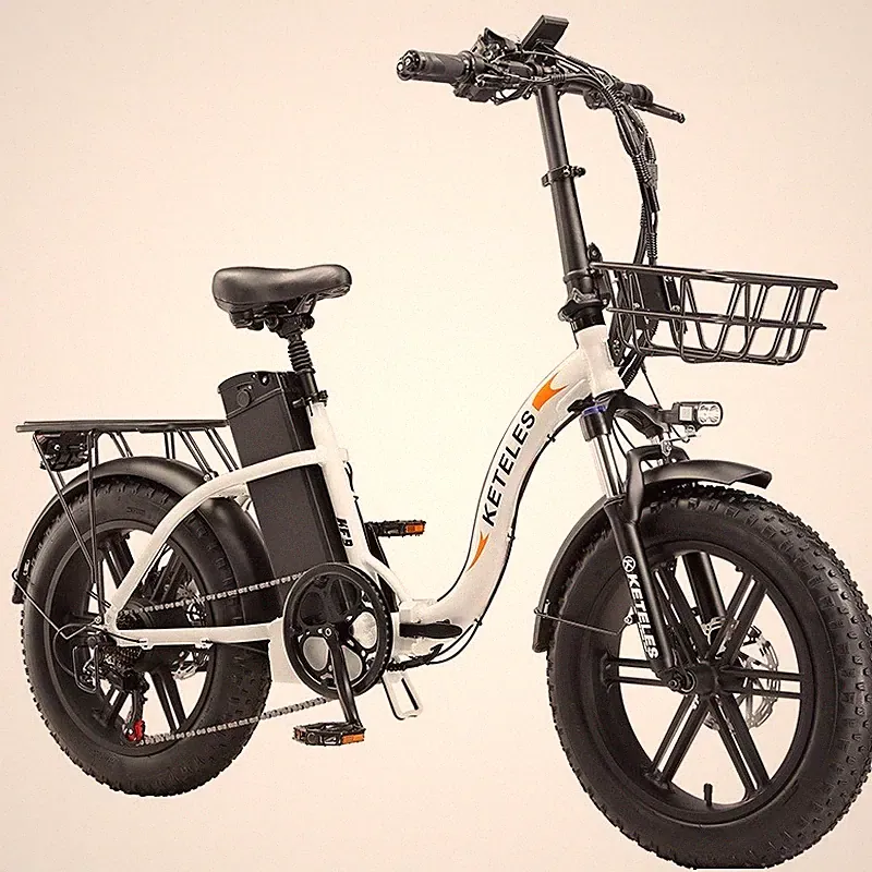 48V/17.5AH Pedelec City E-Bike 20" Klapprad Cityräder 1000W Doppelmotor E-Bike