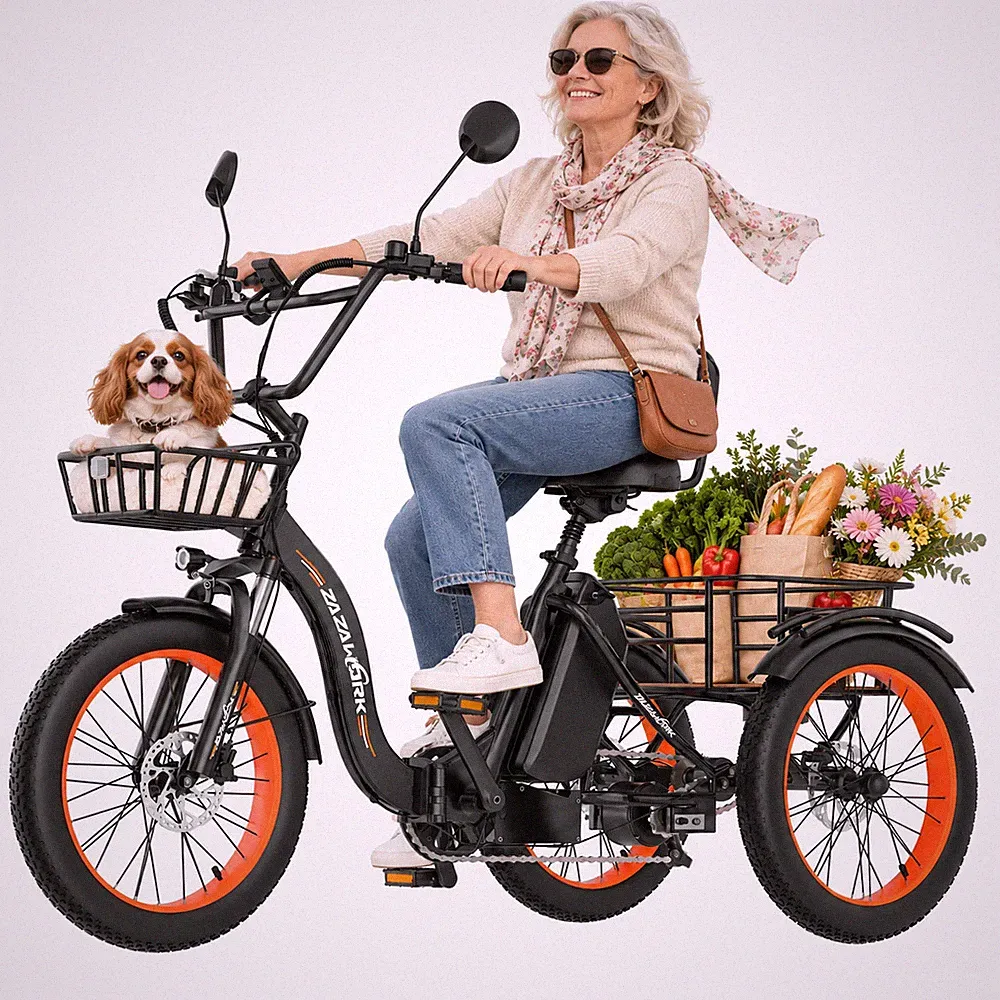 750W E-Bike Klapprad Dreirad Elektro 3 Räder 20AH 20*3 Zoll für Einkauf mit Korb