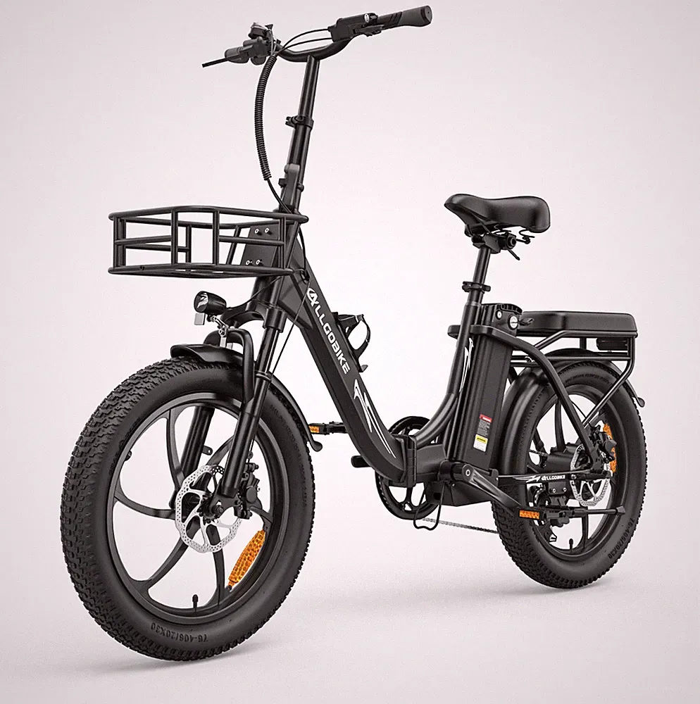 750W Elektrofahrrad Klapprad 20*3Zoll 48V 20AH E-CityBike Pedelec 35KM/H E-Bike