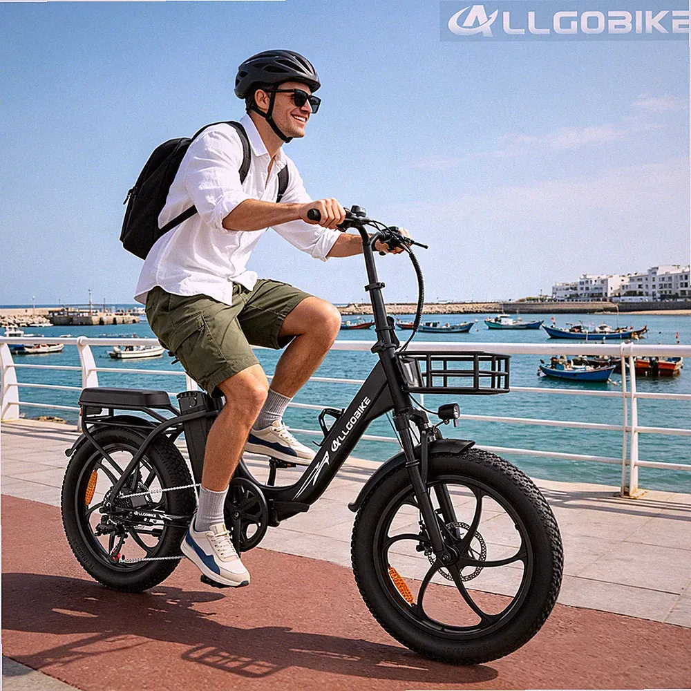 ALLGOBIKE AC20 250W Klappbarer Elektrofahrrad 48V 20Ah 20''Coummuter City E-bike