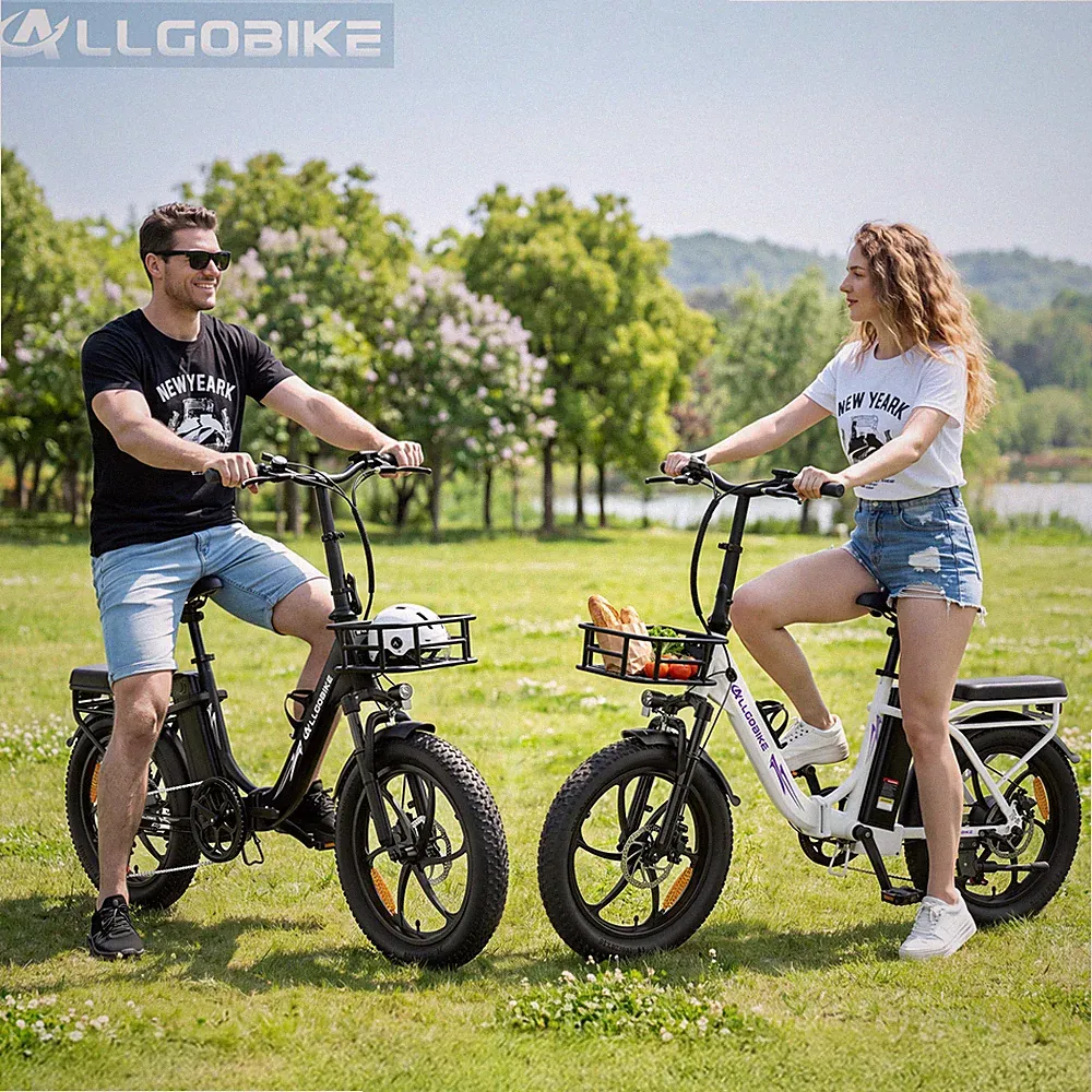 ALLGOBIKE AC20 Klapprad E-Bike 20Zoll Damen/Herren Elektrofahrrad 48V20AH 150KM