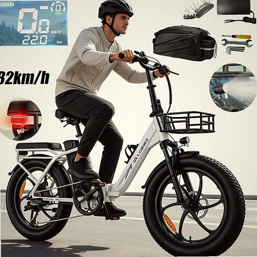 ALLGOBIKE E Bike, E-Bike Klapprad mit 48V20Ah Akku bis zu 100-120km,20 *3.0 Zoll