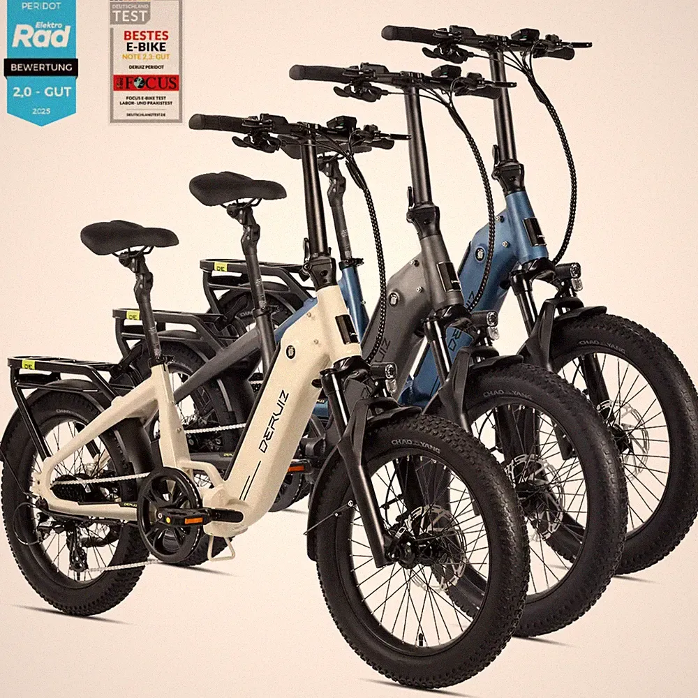 DERUIZ 20 Zoll E-Bike Klapprad Pedelec 250W Shimano 8-Gang StVZO 250W 48V/10.4AH