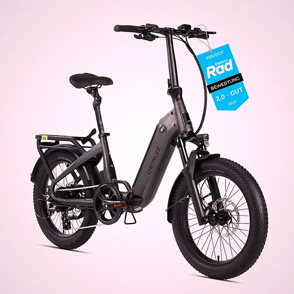 DERUIZ 20Zoll E-Bike Klapprad Pedelec 250W Shimano 8-Gang 250W 48V/10.4AH Herren
