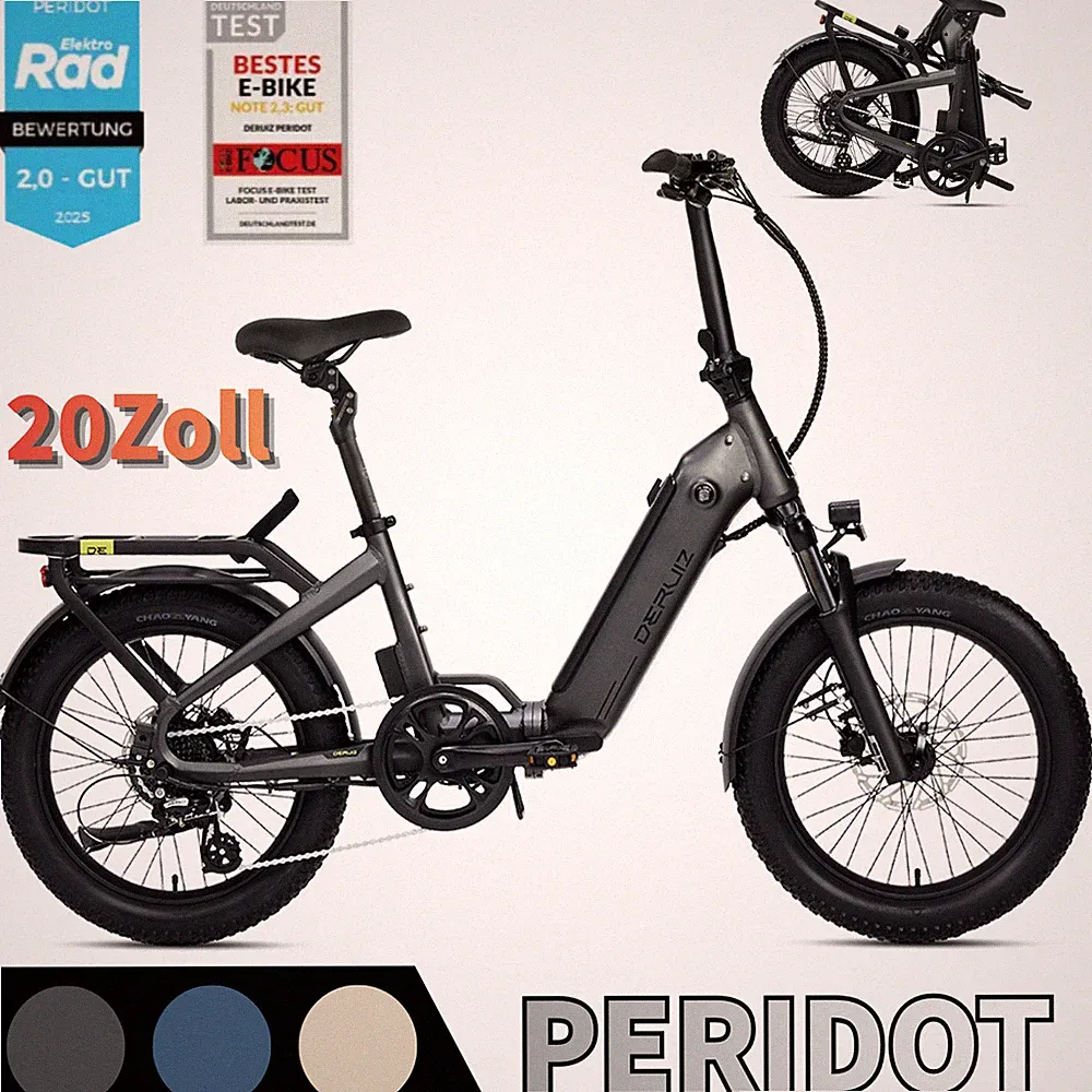 DERUIZ Peridot 20Zoll E-Bike Klapprad Pedelec 250W Shimano 8Gang StVZO 250W