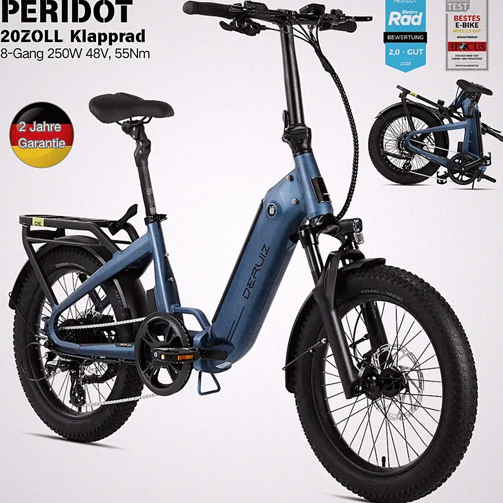 DERUIZ Peridot E-Bike Klapprad 20Zoll 250W 55NM Damen & Herren StVZO Shimano 8G