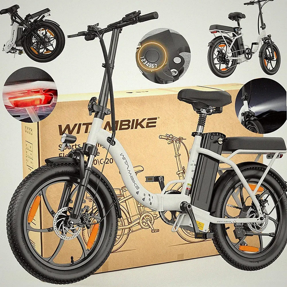 E-Bike 20 Zoll 250W Elektrofahrrad 48V 16AH Klapprad Citybike Damen & Herren