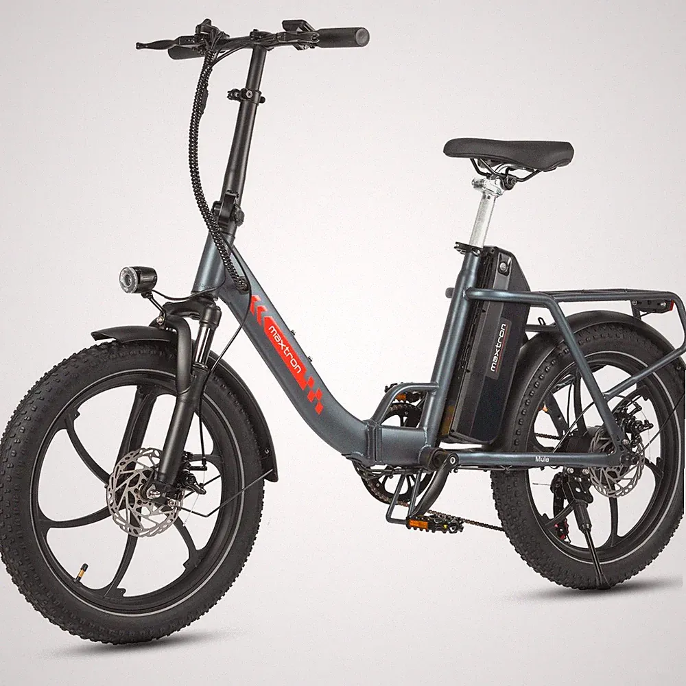 E-Bike 20 Zoll Damen & Herren klappbar Tiefeinsteiger Elektrofahrrad Klapprad