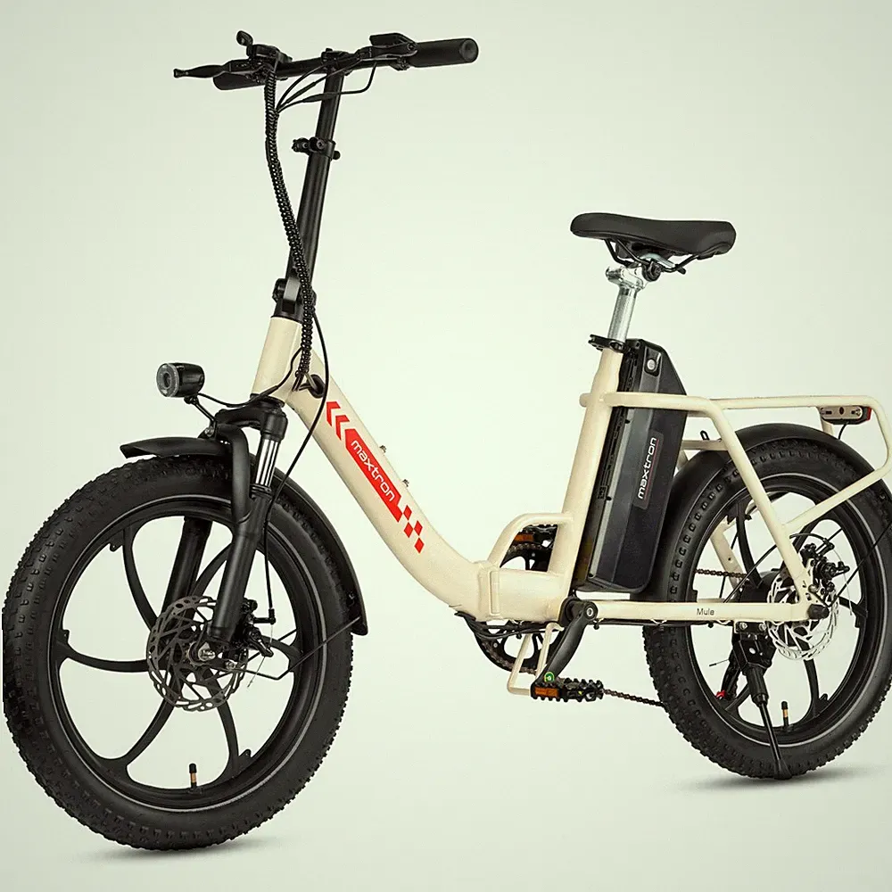 E-Bike 20 Zoll Damen & Herren Klapprad Tiefeinsteiger Elektrofahrrad klappbar
