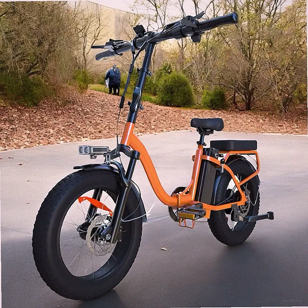 E Bike Elektro Faltrad 20" 36V 250W 13Ah | LCD Display
