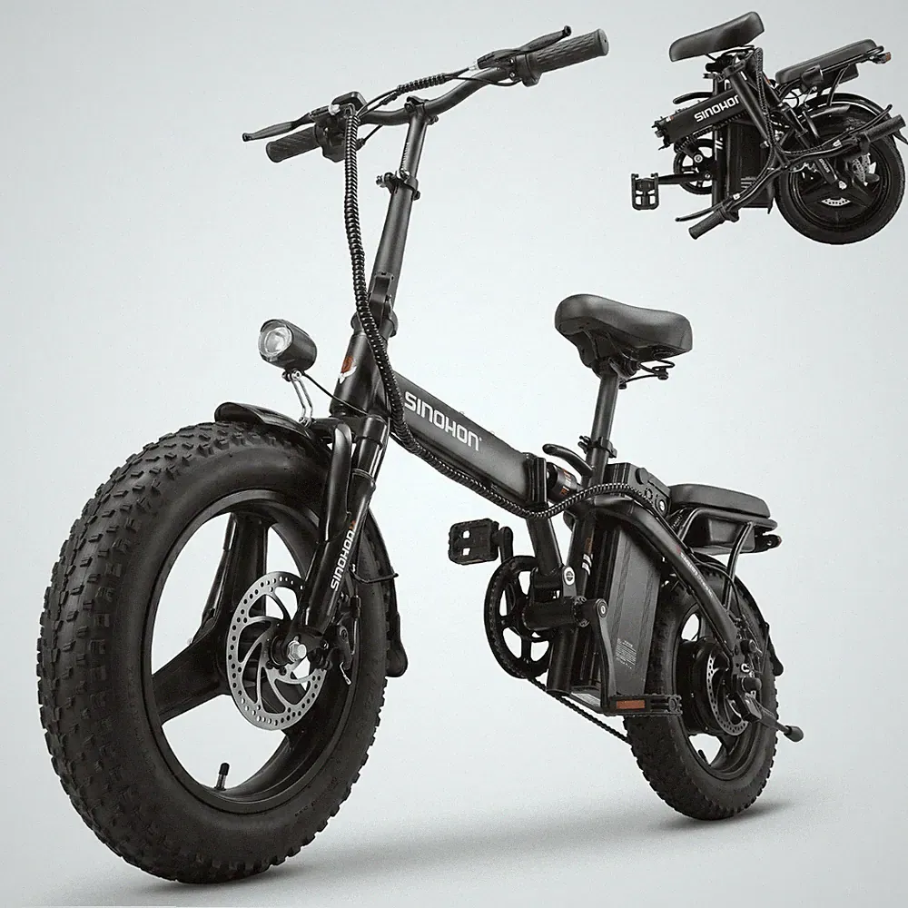 E Bike Klapprad,14 Zoll Elektrofahrrad 10Ah Akku,250W Kompakt Elektrofahrräder