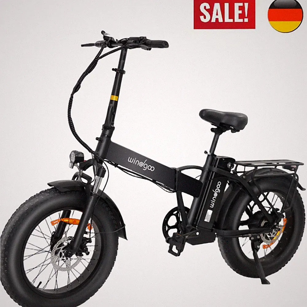 E-Bike Klapprad 20 Zoll 250W Elektrofahrrad 600Wh Abnehmbarer Akku MTB Fatbike