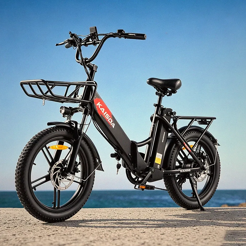 E-Bike Klapprad 20 Zoll Elektrofahrrad 20.8Ah DoppelAkku Electric Bike 55N.M 36V