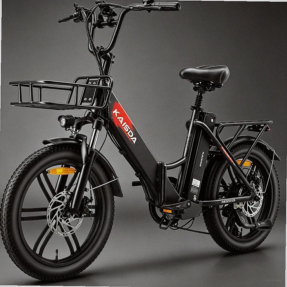 25 kg Fatbike