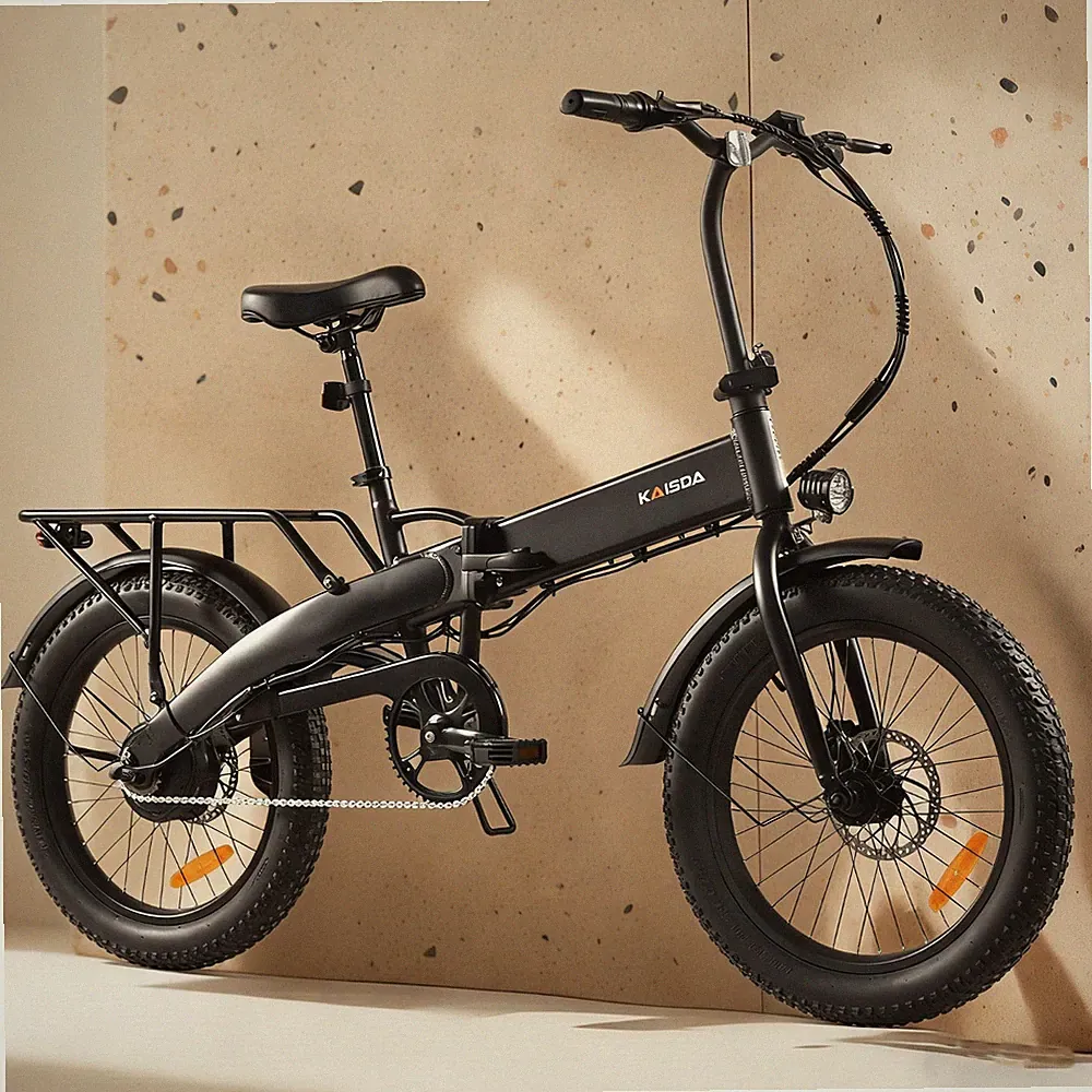 E-Bike Klapprad 20 Zoll Elektrofahrrad 250W 36V 10.4Ah Electric Bike Leichtes