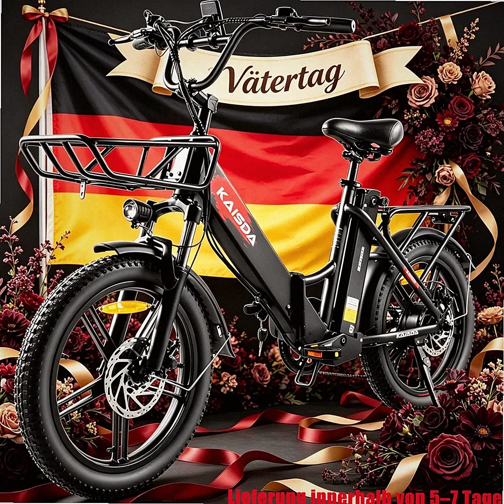 E-Bike Klapprad 20 Zoll Elektrofahrrad Mountainbike E-CityBike 20.8Ah Doppelakku