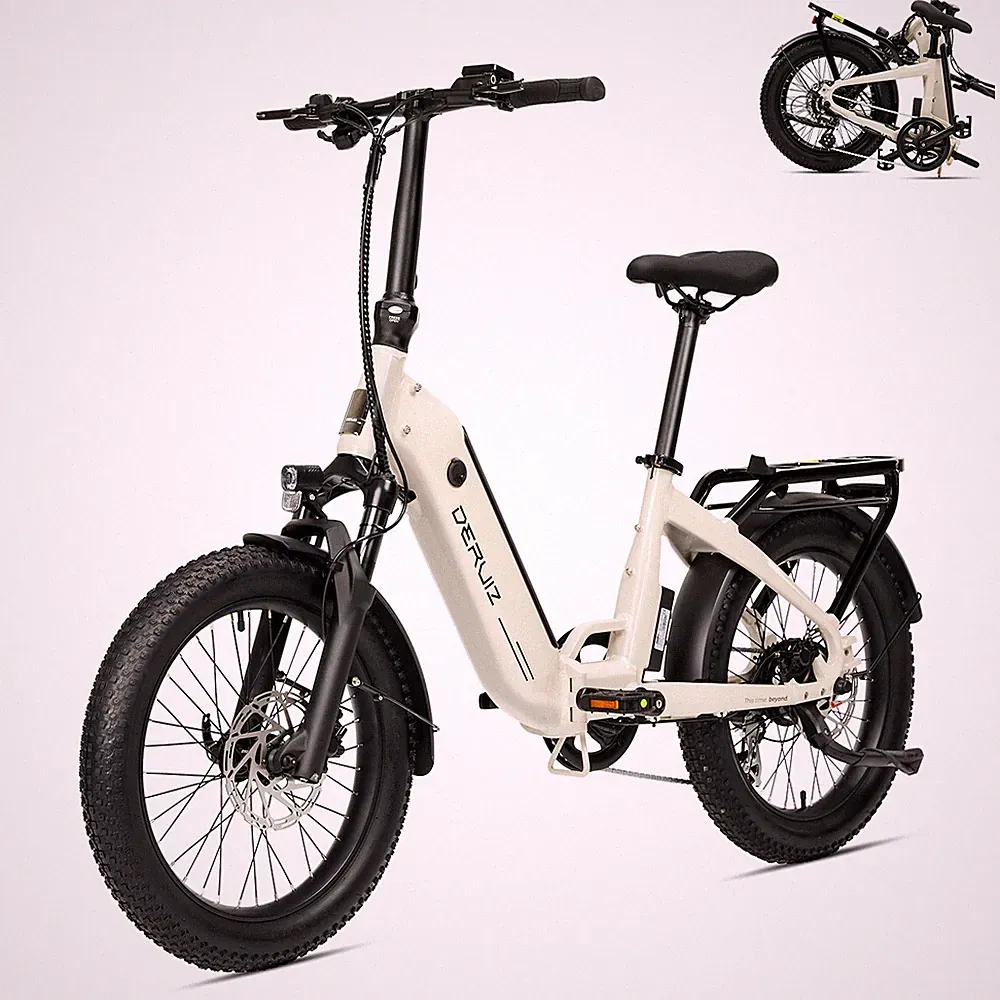E-Bike Klapprad DERUIZ 20Zoll Elektrofahrrad 500Wh Shimano 8G Pedelec e Citybike