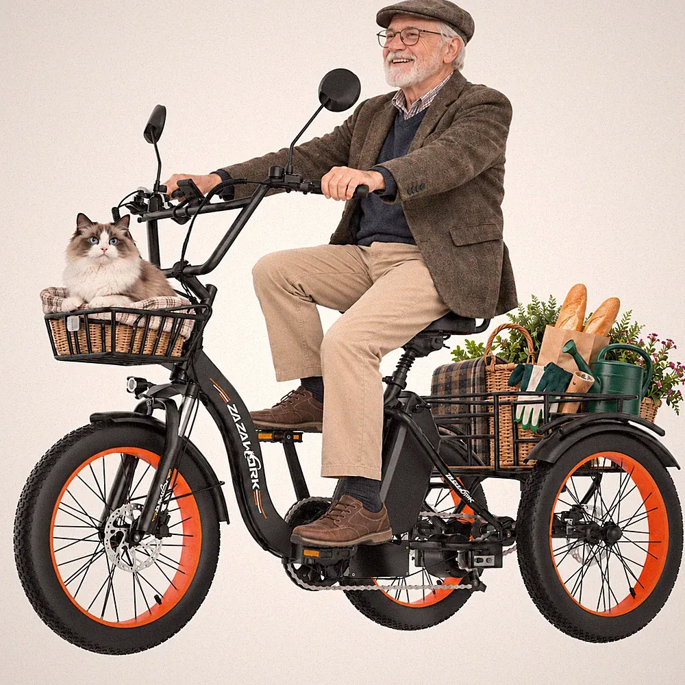 Elektro Dreirad 1000W 48V 20Ah E-Bike 20 Zoll Klapprad Faltbar mit Einkaufskorb