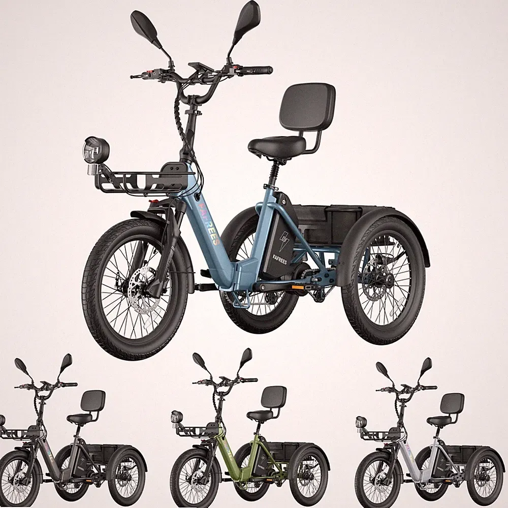 Elektro Dreirad 3 Räder 20 Zoll Senioren 250W E-Bike Klappbar mit Korb 48V 21AH