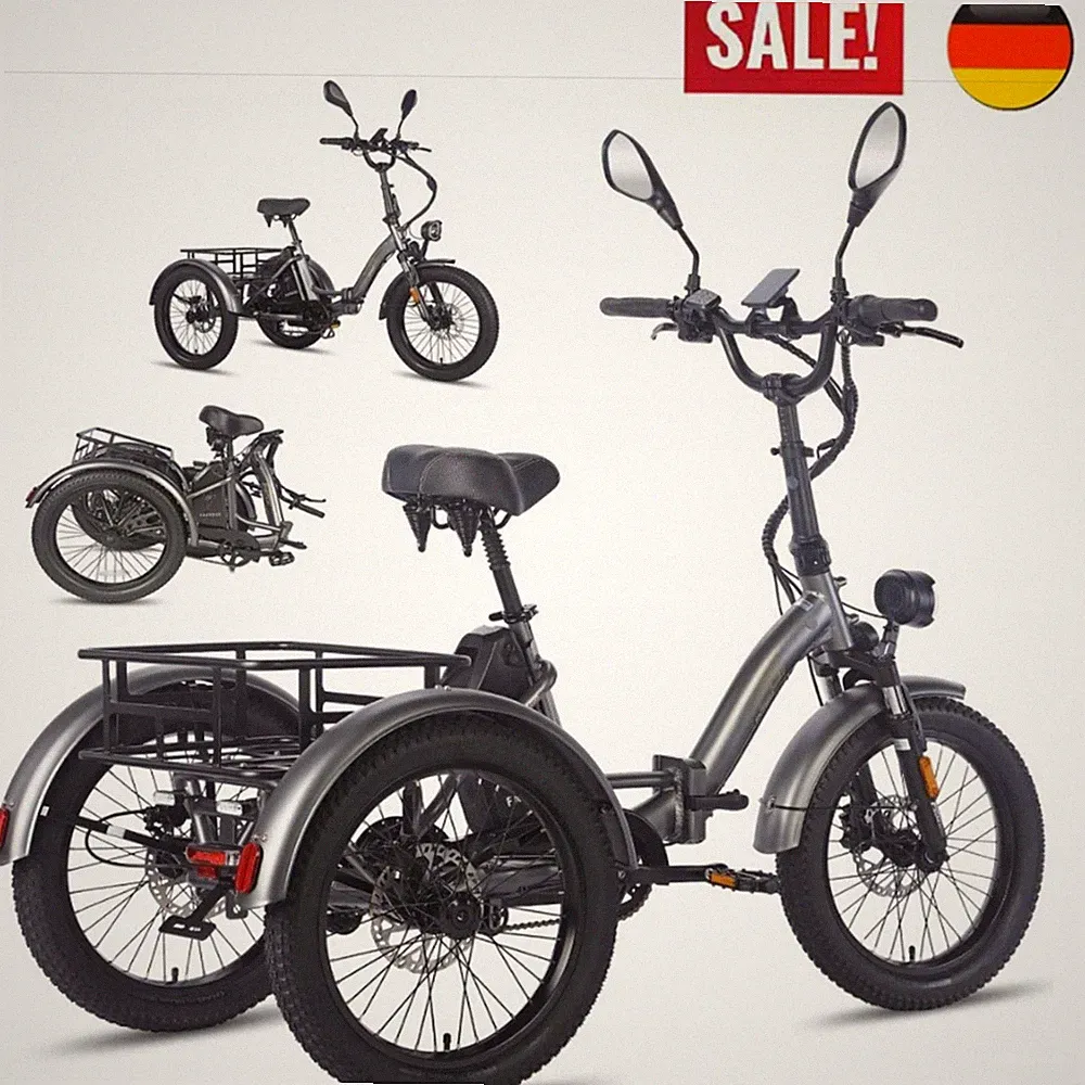 Elektro Dreirad 48V 21Ah Klapprad 20 zoll 3 Räder E-Bike E-Lastenrad Cargo 750W