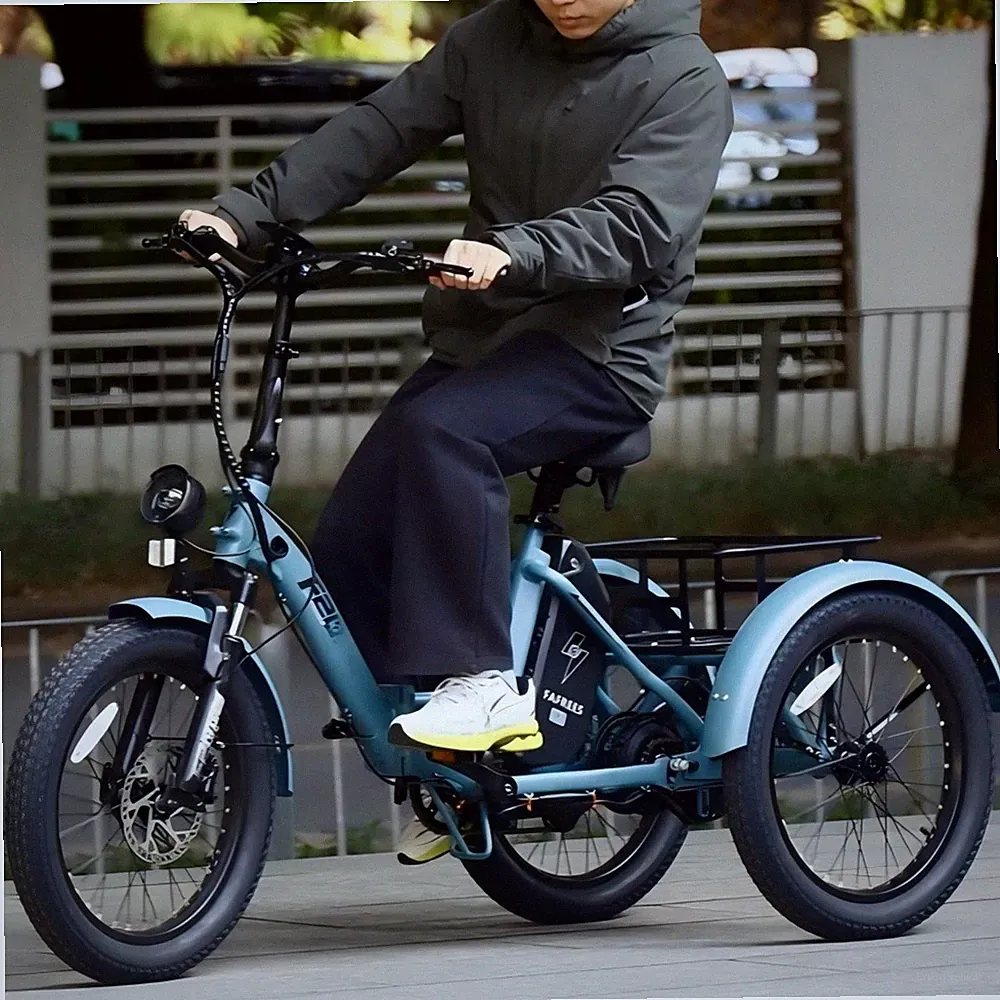 Elektro Dreirad Klappbar 3-Rad E-Bike 20 Zoll mit Korb 48V 21AH FAFREES F20 MATE