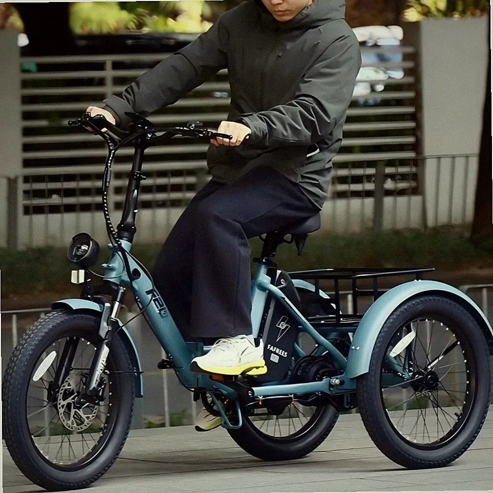Elektro Dreirad Klappbar 3-Rad E-Bike 20 Zoll mit Korb 48V 21AH FAFREES F20 MATE