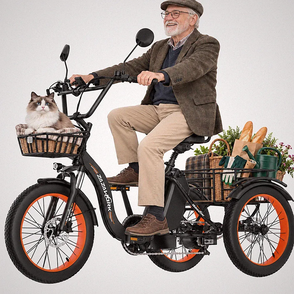 Elektro Dreirad Senioren 20 Zoll 48V 21Ah 750W E-Bike Klapprad Ölbremse Korb
