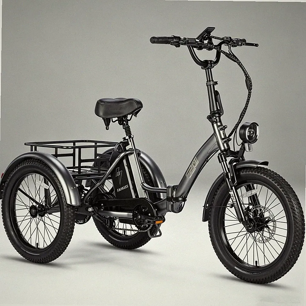 Elektrofahrrad Dreirad Klapprad E-Bike 20 Zoll 3 Räder Fahrrad mit DrehGasGriff